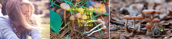 таблы Абаза