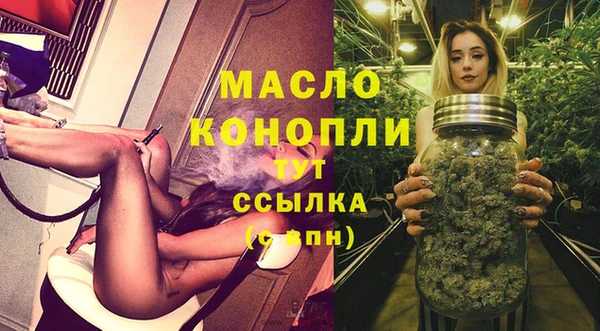 Альфа ПВП Пересвет
