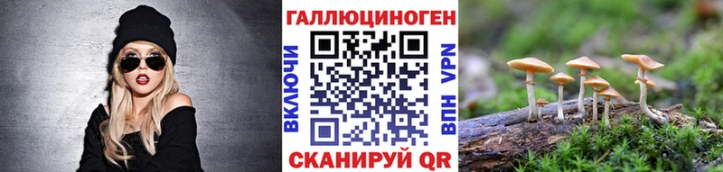 Псилоцибиновые грибы Cubensis  Кинешма 